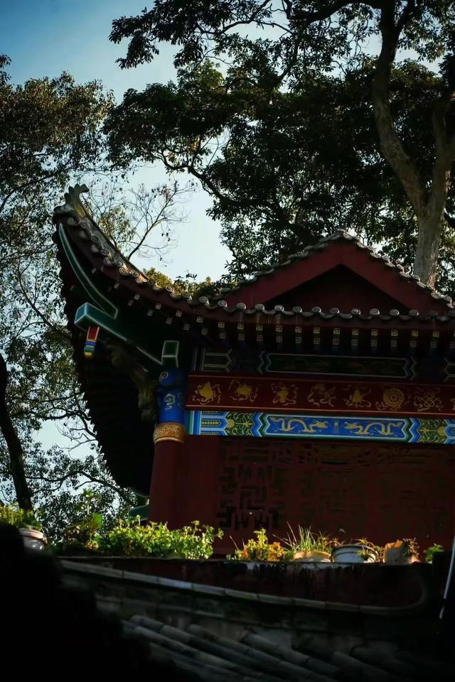 暑期自驾指南，成宜高速沿线必打卡的清凉秘境