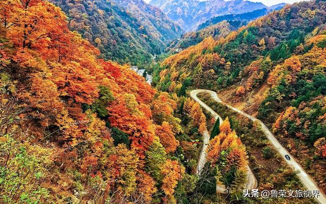 光雾山：川陕腹地的红叶秘境与千年回响