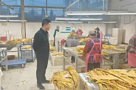 河南洛宁老区底张的振兴“领路人”图片