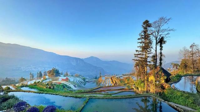 周年限定！快来阿者科当一天“哈尼公主”