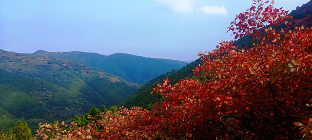骊山红叶似火 车辆行人如织