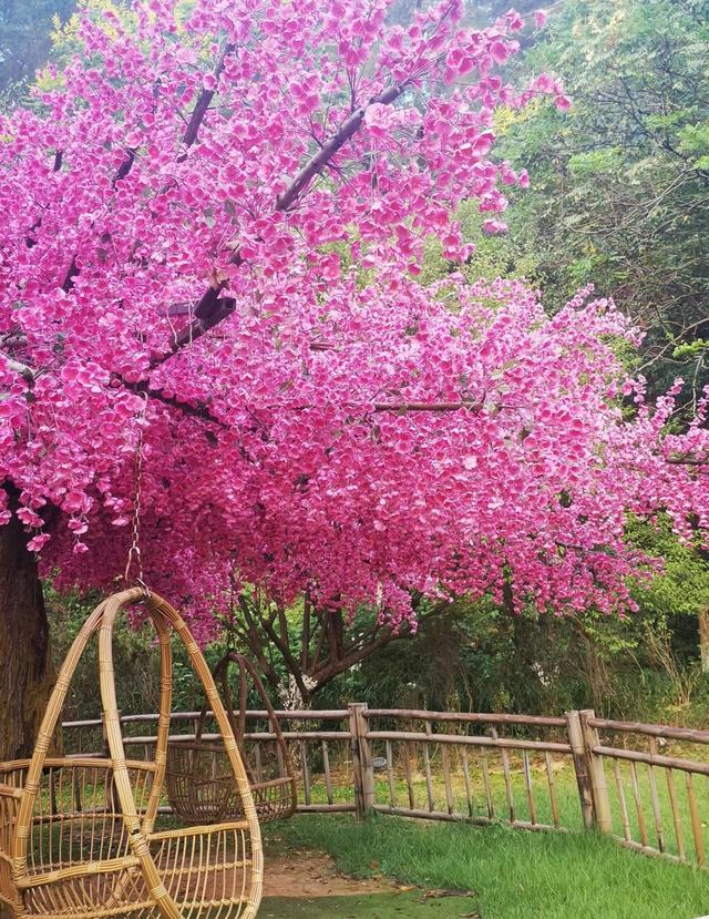 如果有条件，退休后我更愿意在这8座城市久居，生活舒服节奏也慢
