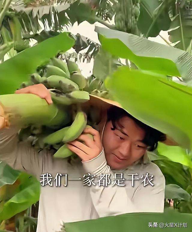 人心不足蛇吞象！人民日报点名，揭开全红婵真实处境，误会太深