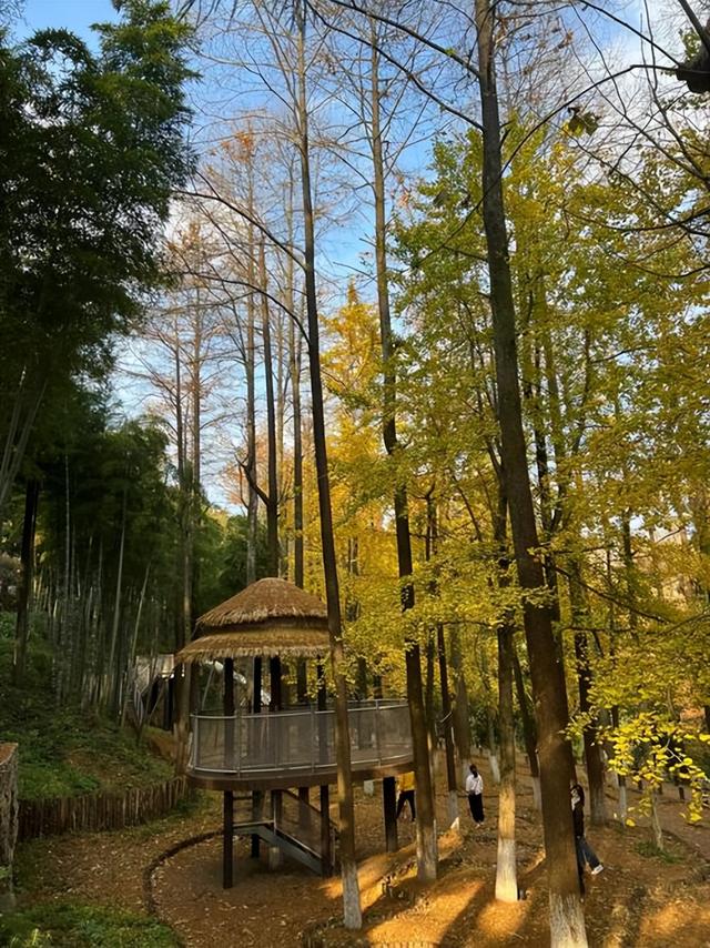 福州周边藏了个「秋日火焰山」！这5个红叶秘境，美成调色盘