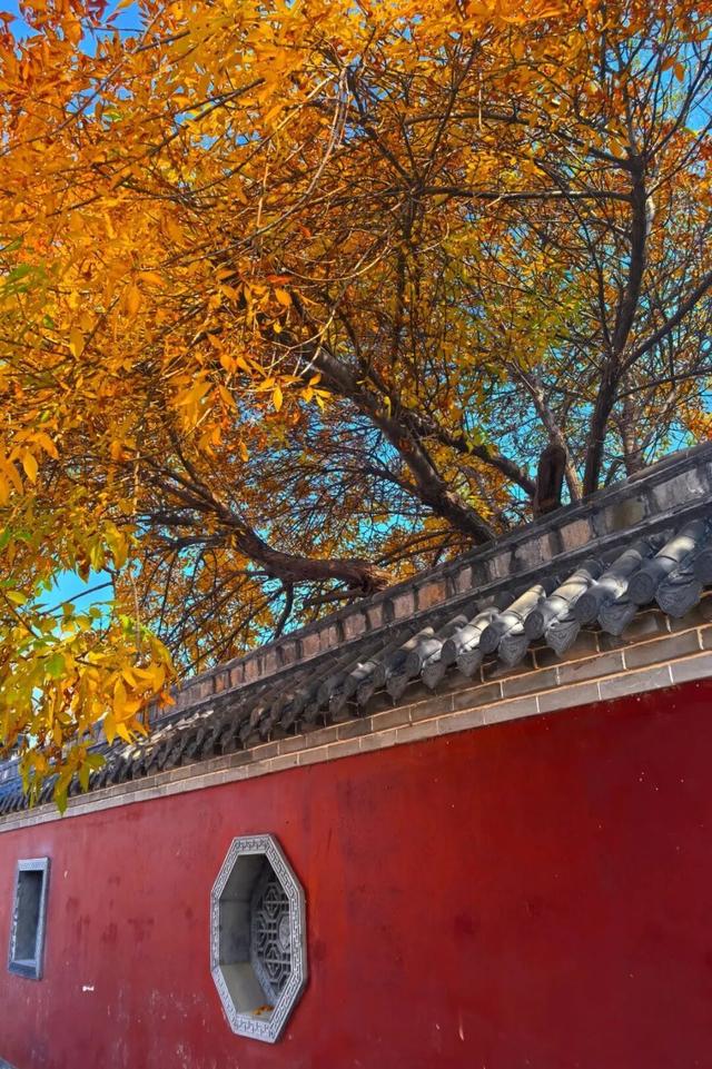 红与黄！我不允许还有人不知道这个打卡点！