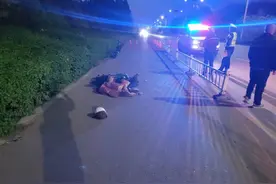 撞了！乌海“任性”三轮车逆行！肇事逃逸！图片