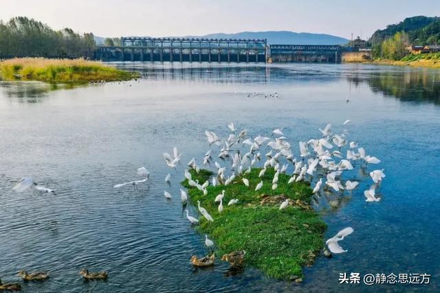 河南人去了永州和邵阳,直言不讳:永州和邵阳的生活方式截然不同