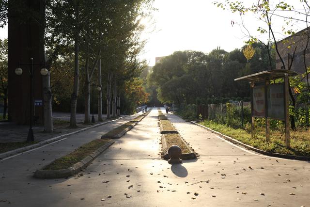 毕业八年，再回建大