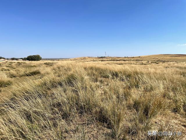 2025年国庆包头市达茂联合旗境内访古记
