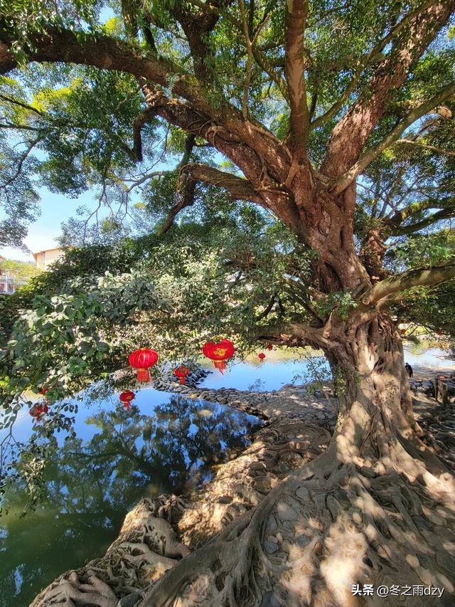 土楼拾光②:福建土楼景区——云水谣片区(2025.2.10 漳州·南靖)