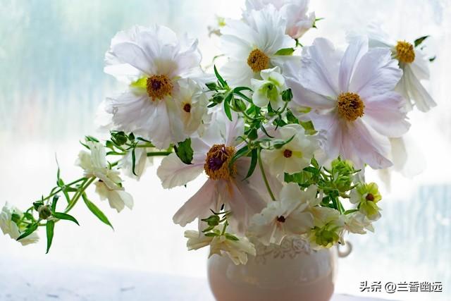 两性关系：如果还想多活几年，65岁以后必须牢记这5句话