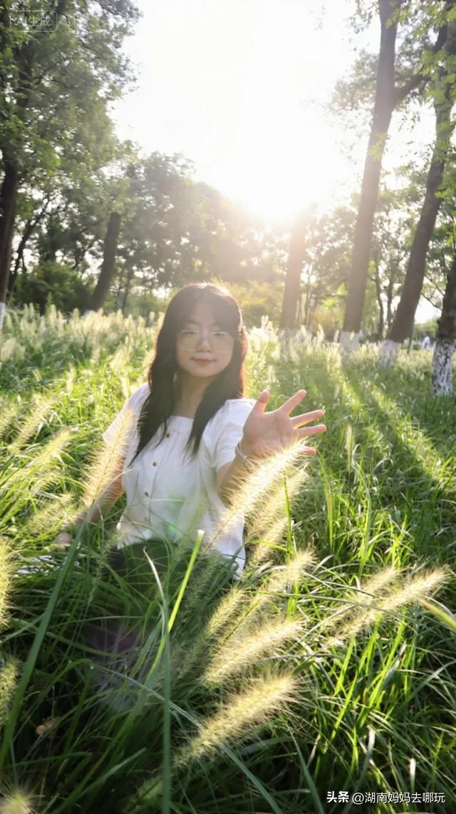1小时直达!长沙藏了片“狗尾巴草秘境”,免费露营+玩水,人少景美,错过等一年!