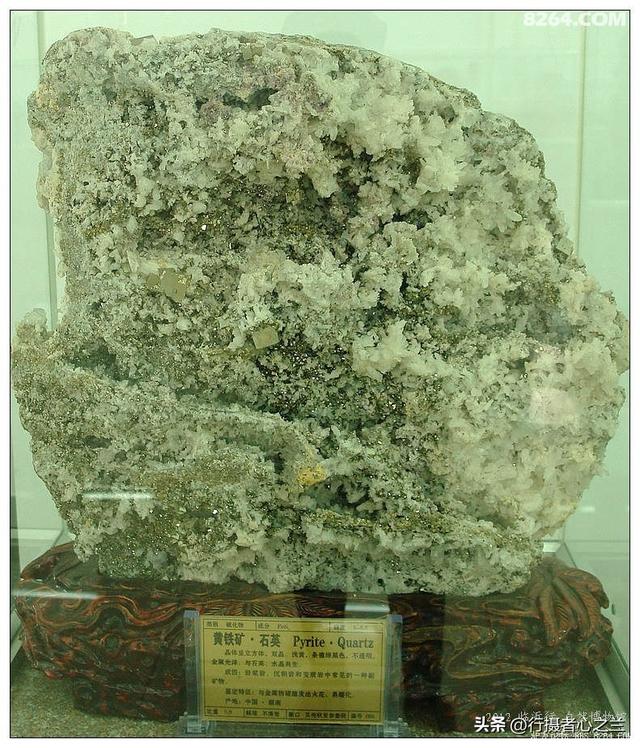 山东行游影记（31）—平邑天宇自然博物馆（六）