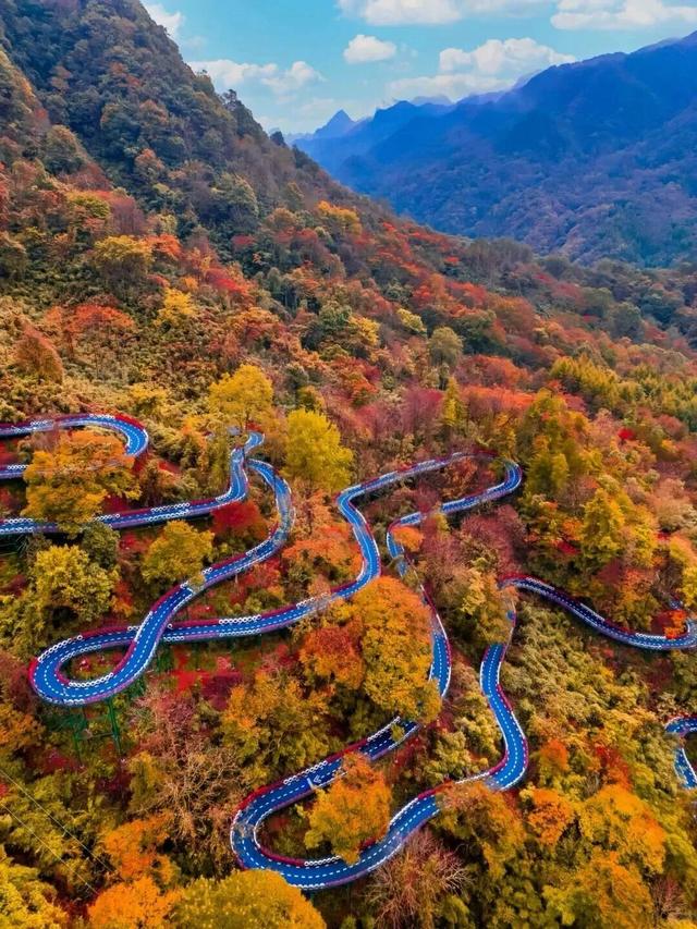 追了光雾山的红叶，这个秋天没白过！