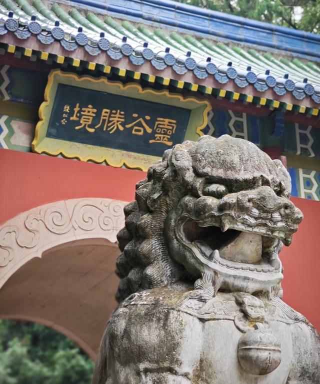 我是上海人，逛灵谷寺登松风阁，赏紫金山景还见百年老银杏树