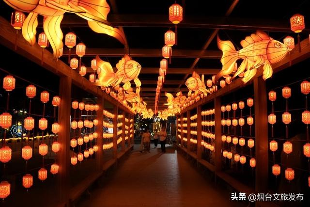 【乐游烟台】进来薅羊毛！烟台这些景区8月有优惠→