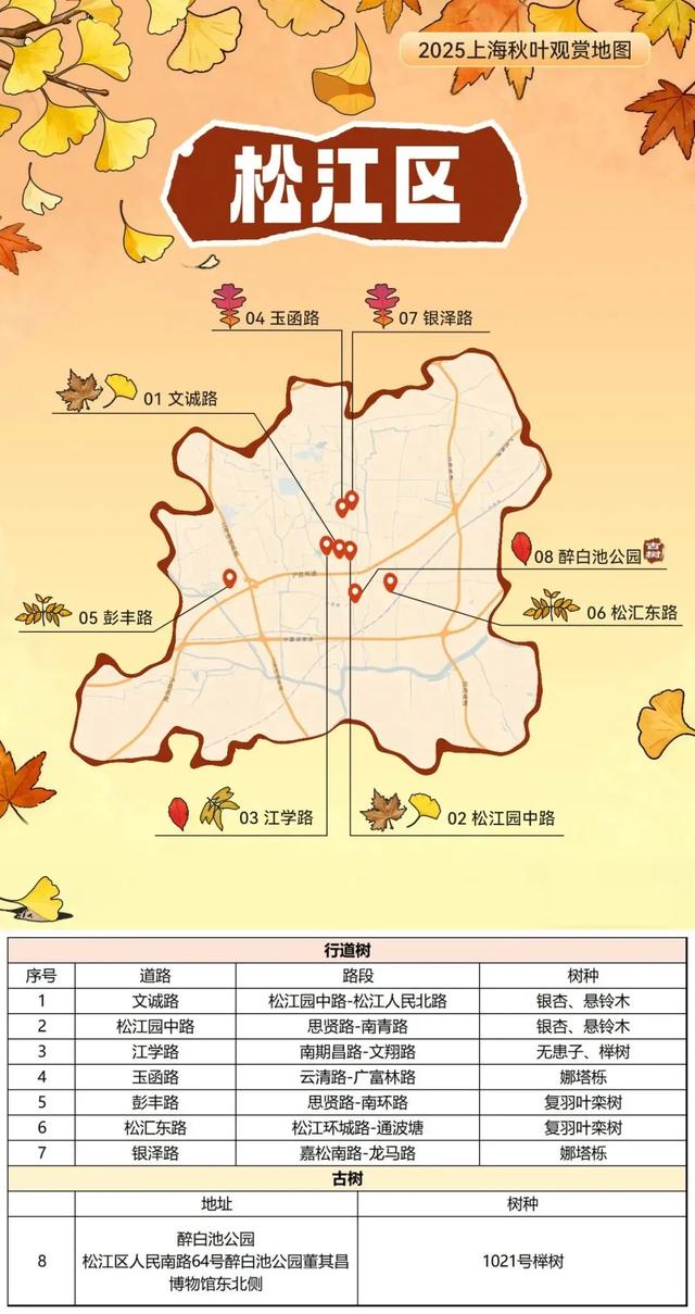2025上海秋叶地图出炉,徐汇这些点位不可错过!