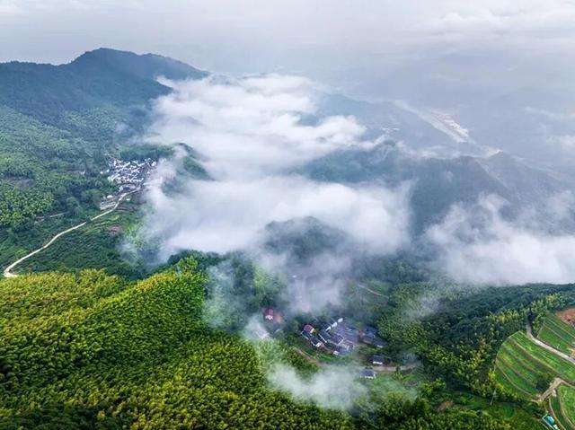 民宿一房难求！富阳有个“童话村”，美如仙境！