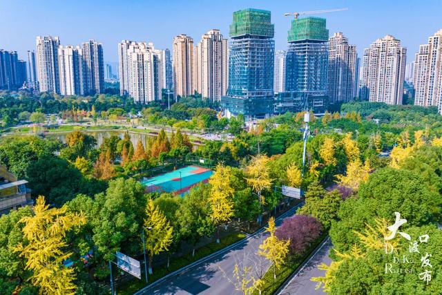 大渡口这里开启“美颜模式”，打卡要趁早～