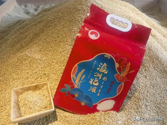 来复兴岛当一天快乐“岛民”