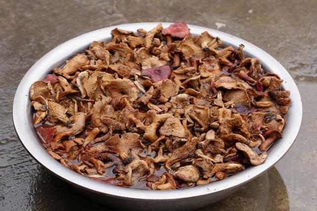 皇藏峪蘑菇鸡，宿州旅游不得不吃的特色招牌菜，感受“皖”美风味