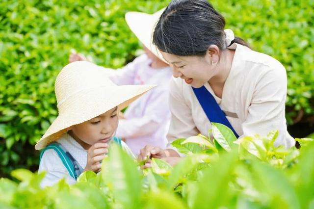 跟着赛事去旅行 | 骑到普洱思茅才知道 茶+咖=我的多巴胺双倍风暴