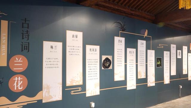 近200盆名兰！颐和园这个免费展览，展出至