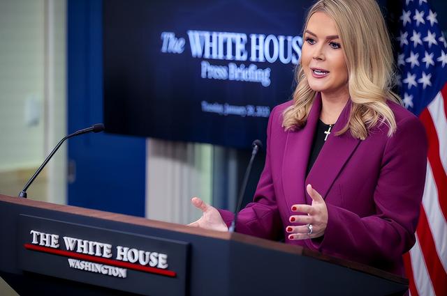 荷兰挑战底线，断供安世晶圆，中国 “组合拳” 破局，掌控主动权