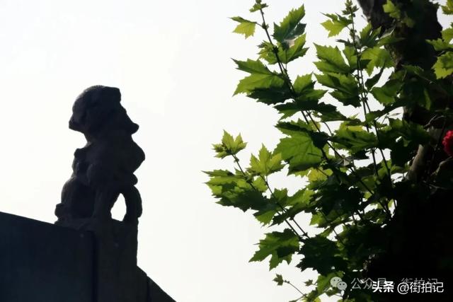 这条河边老街的“慢生活”：他们沿用数十年前的方式，一晃半生