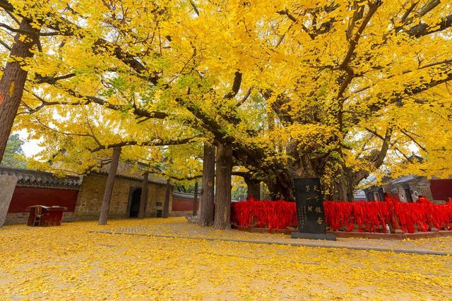 日照旅游景点十大排名，山东日照最值得去的10个地方，你去过几个