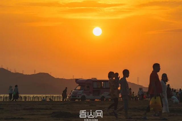 珠海赶海地图出炉！这些宝藏海滩，火爆了！
