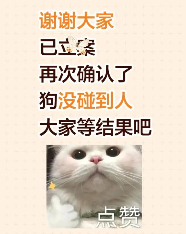 “小姐姐牵绳遛狗被一家人围殴，邻居帮忙作证也被打伤！打人男子还扬言要杀狗…”警方调取监控	，已立案