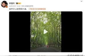 张颂文随手一拍上热搜！南京中山陵梧桐大道引热议，网友很是喜欢图片