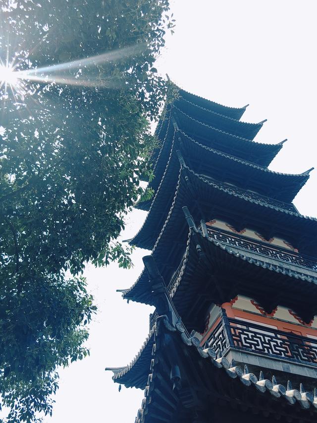嘉定之根—上海AAAA级旅游景区