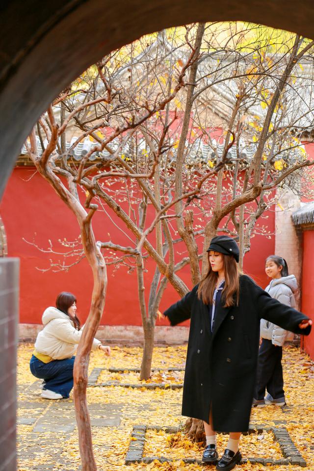 泰山普照寺，那最后的一树金黄