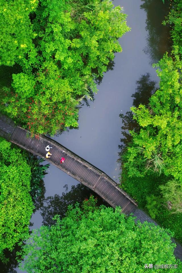这条5公里旅游专线，串起成都N个好耍地！