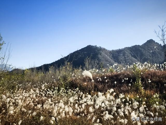 在蓝田不为人知的这个峪口，驱车深入，发现一个隐秘的“桃花源”