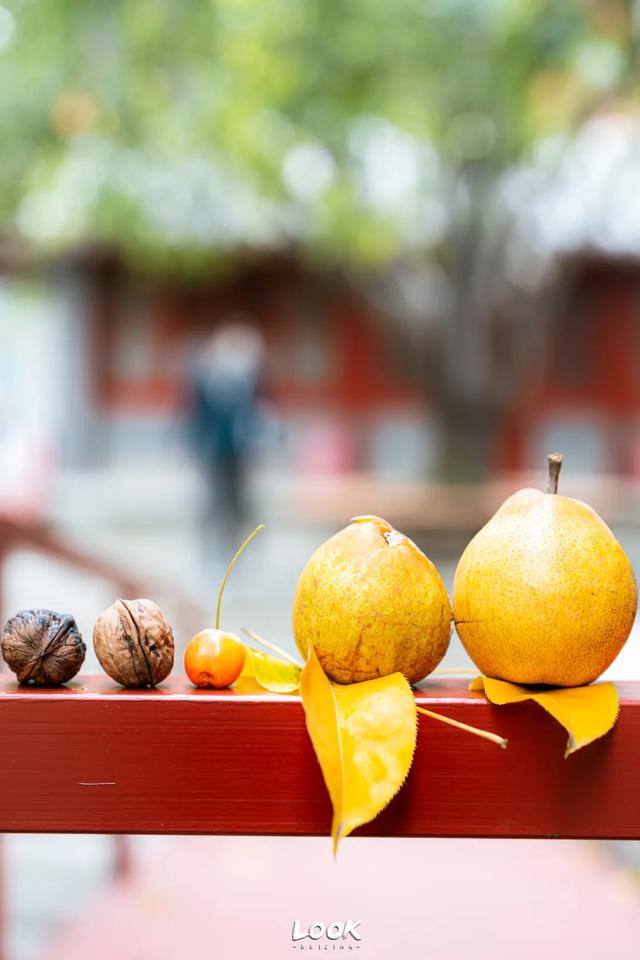 北京最新秋日打卡地 · 再看要等明年