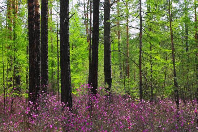 比桂林人少，比阳朔低调，“最没有存在感” 的山水旅居小城