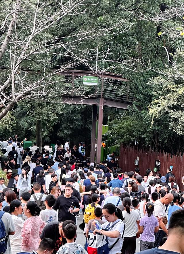 上海人国庆勇闯南京，3天暴走实录！