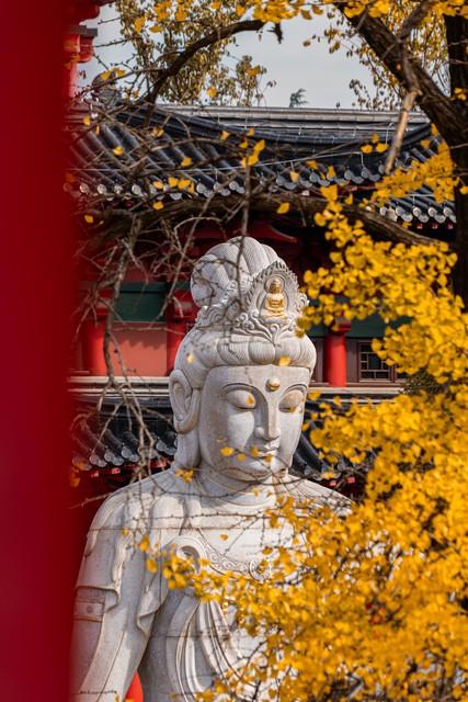 一个很玄学的现象：永远不要太操心你的孩子和你的父母