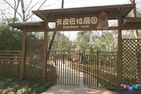 明日开放！扬州茱萸湾新晋萌宠乐园亮相图片