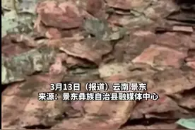 老人省吃俭用攒下20多万埋地里，去世后家人清理老宅才发现图片
