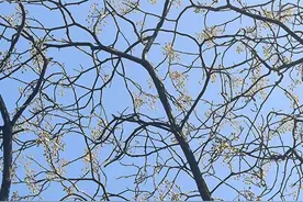 想要实现阶层跃升，不可不读《送东阳马生序》图片