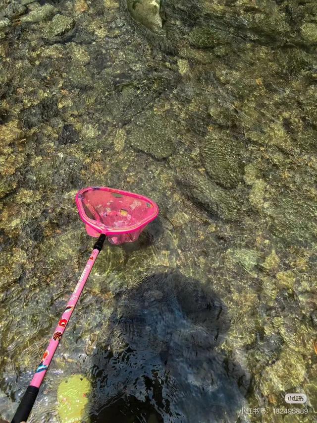 全免费！成都周边30min玩水抓螃蟹、露营野餐钓鱼烧烤！轻松安逸周末快冲！