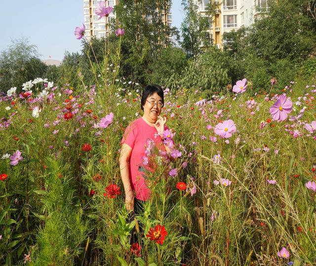 六问沈阳北塔公园空灵花海景点为何无花只有荒草
