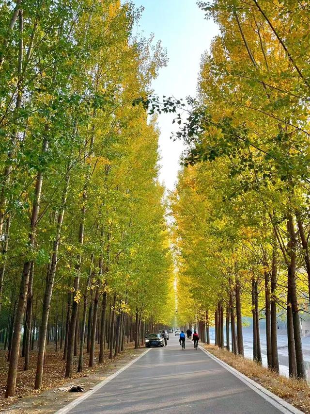 去公园，寻找城市的“书签”