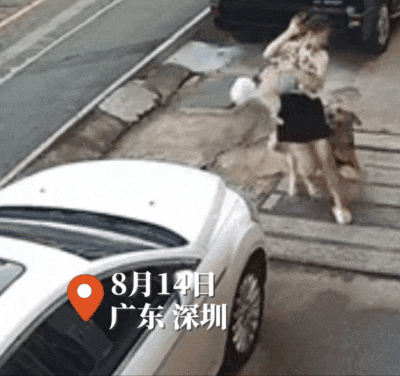 远离禽兽