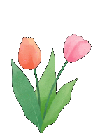 赏花事，醉秋风！花漾补浪河~