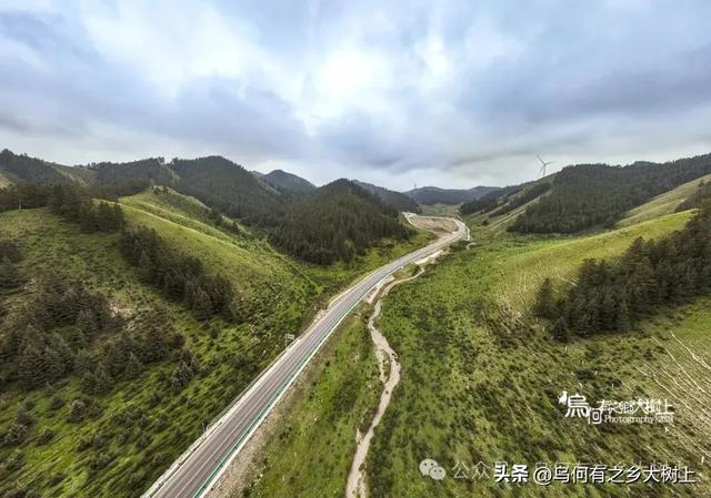 沿着338国道，从古浪县进入天祝县藏区，山谷里全是牦牛